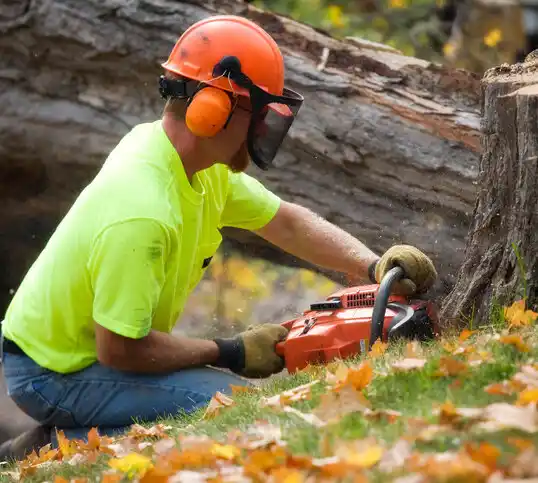 tree services Ennis